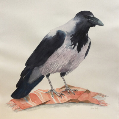 Akvarell kråkfågel som ståt på en halsduk